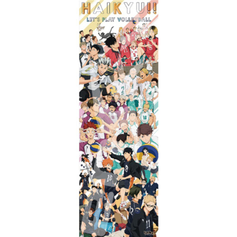 Haikyu !! 950-48 HAIKYU !! CHRONICLES (ハイキュー!! 950-48　HAIKYU!! CHRONICLES)
