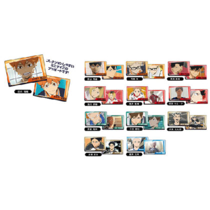 Plastic board collection Petit Haikyu!! Vol.1 (single item unified JAN) (プラボードコレクションPetit　ハイキュー!! Vol.1 (単品統一JAN))