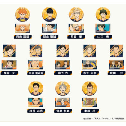 This and that Petit CAN Badge Haikyu!! Vol.2 Karasuno High School BOX (single item unified JAN) (あれこれぷちCANバッジ　ハイキュー!!Vol.2　烏野高校BOX (単品統一JAN))