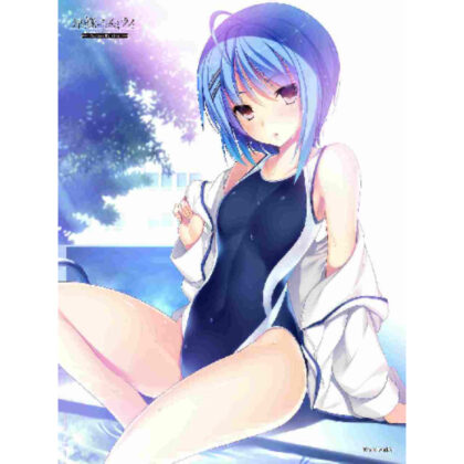 Hoshiori Yume Mirai 2024 Extra Large Fluffy Blanket C (星織ユメミライ 2024特大モフモフ毛布 C)