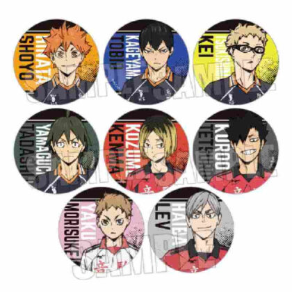 TBHGM-01 Trading Can Badge Haikyu!! (TBHGM-01 トレーディング缶バッジ ハイキュー!!)