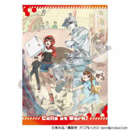 Cells at Work! Single Clear File Key Visual (はたらく細胞 シングルクリアファイル キービジュアル)
