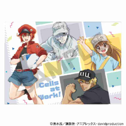 Cells at Work! Single Clear File Collection White (はたらく細胞 シングルクリアファイル 集合 ホワイト)