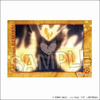 Katekyo Hitman REBORN! Star Panel 3 (家庭教師ヒットマンREBORN! スタパネ 3)