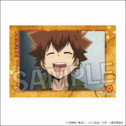 Katekyo Hitman REBORN! Star Panel 4 (家庭教師ヒットマンREBORN! スタパネ 4)