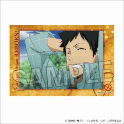 Katekyo Hitman REBORN! Star Panel 8 (家庭教師ヒットマンREBORN! スタパネ 8)