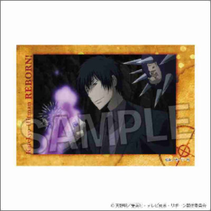 Katekyo Hitman REBORN! Star Panel 10 (家庭教師ヒットマンREBORN! スタパネ 10)