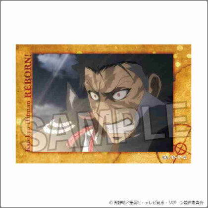 Katekyo Hitman REBORN! Star Panel 15 (家庭教師ヒットマンREBORN! スタパネ 15)