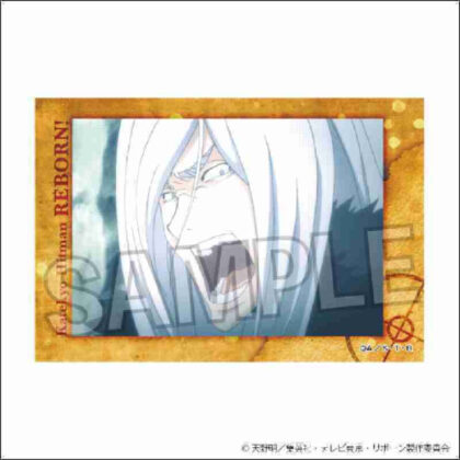 Katekyo Hitman REBORN! Star Panel 17 (家庭教師ヒットマンREBORN! スタパネ 17)