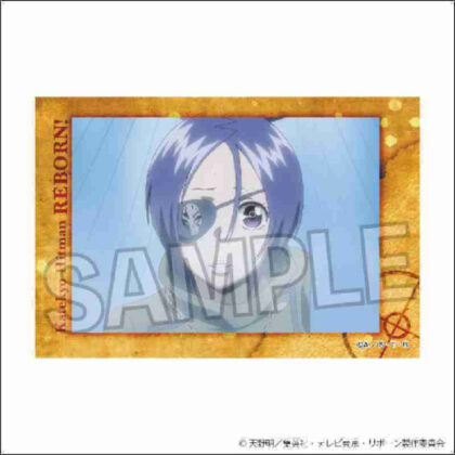 Katekyo Hitman REBORN! Star Panel 21 (家庭教師ヒットマンREBORN! スタパネ 21)
