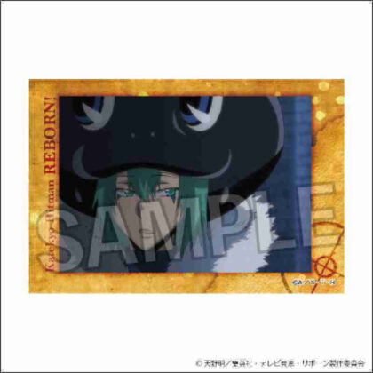 Katekyo Hitman REBORN! Star Panel 29 (家庭教師ヒットマンREBORN! スタパネ 29)