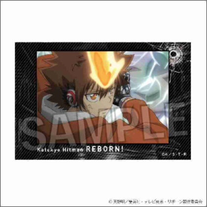Katekyo Hitman REBORN! Stacking blocks 3 (家庭教師ヒットマンREBORN! 積み積みブロック 3)