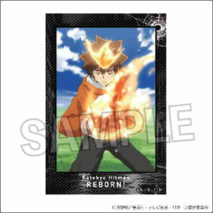 Katekyo Hitman REBORN! Stacking blocks 4 (家庭教師ヒットマンREBORN! 積み積みブロック 4)