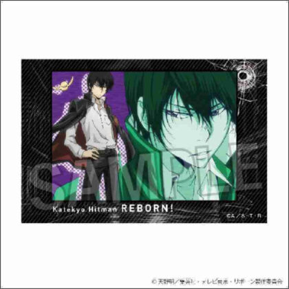 Katekyo Hitman REBORN! Stacking blocks 9 (家庭教師ヒットマンREBORN! 積み積みブロック 9)