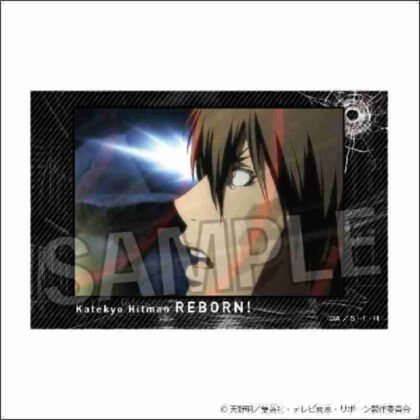Katekyo Hitman REBORN! Stacking blocks 16 (家庭教師ヒットマンREBORN! 積み積みブロック 16)