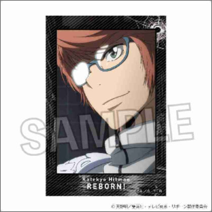Katekyo Hitman REBORN! Stacking blocks 24 (家庭教師ヒットマンREBORN! 積み積みブロック 24)