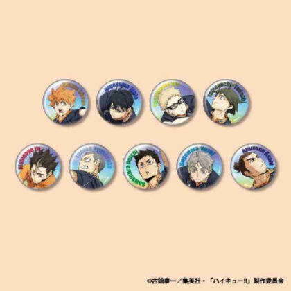 Haikyu!! TD Can Badge 5th Season Action Copyright Aurora Ver. Karasuno (ハイキュー!! TD缶バッジ 5期アクション版権 オーロラVer.烏野)