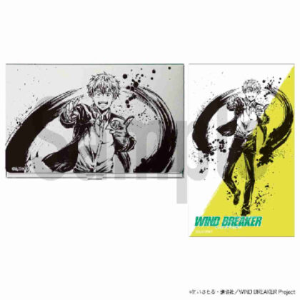 WIND BREAKER card case with sticker Nasui (WIND BREAKER カードケース ステッカー付 楡井)