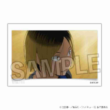 ハイキュー!! 積み積みブロック Vol.6 12 (疊積木 Vol.6 12)