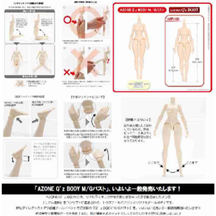AZONE Q'z BODY M/G Bust (AZONE Q'z BODY M/Gバスト)