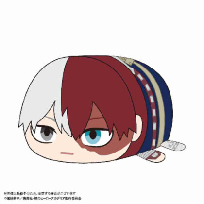 HA-49 My Hero Academia Potekoro Mascot BIG C Shouto Todoroki (HA-49 僕のヒーローアカデミア ぽてコロマスコットBIG C 轟焦凍)