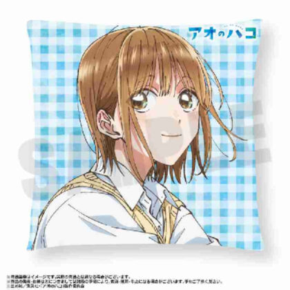 Ao Box Cushion B (アオのハコ クッション B)
