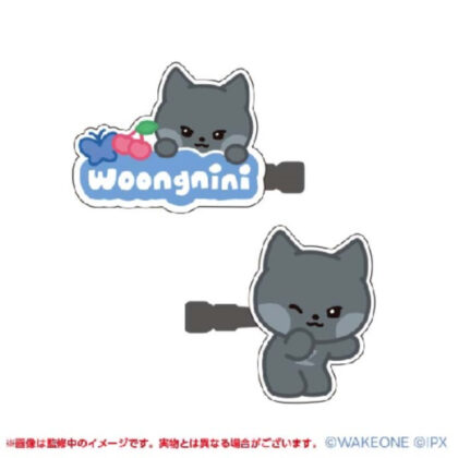 zeroni acrylic hair clip ②woongnini (zeroni アクリルヘアクリップ ②woongnini)