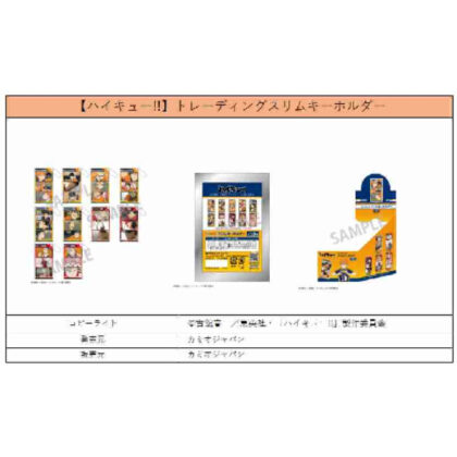 ハイキュー!! トレーディングスリムキーホルダー(2024年5月版) (Haikyu!! 貿易細長鑰匙圈（2024 年 5 月版）)