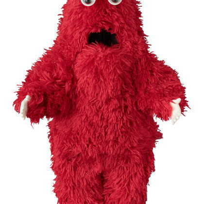 VCD ムック Lサイズ