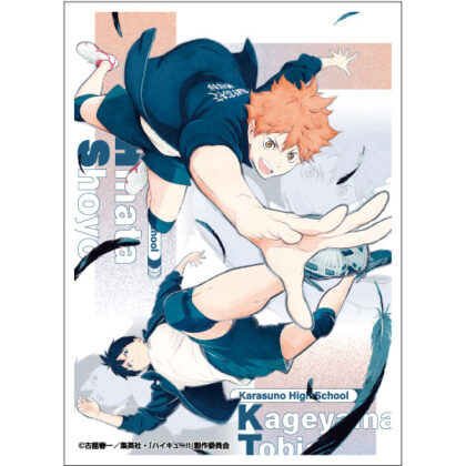 アニメ｢ハイキュー !! ｣ EN-1631 日向・影山