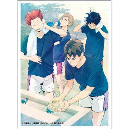 アニメ｢ハイキュー !! ｣ EN-1634 若葉風