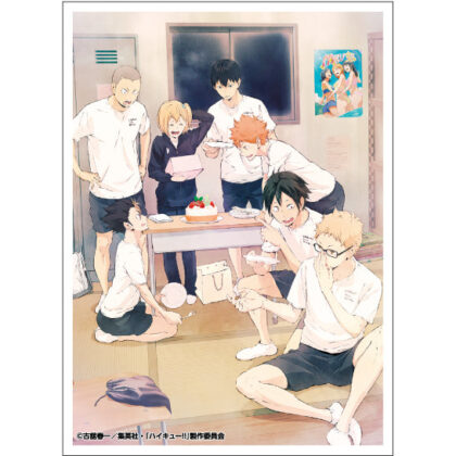 アニメ｢ハイキュー !! ｣ EN-1637 和やかなひととき