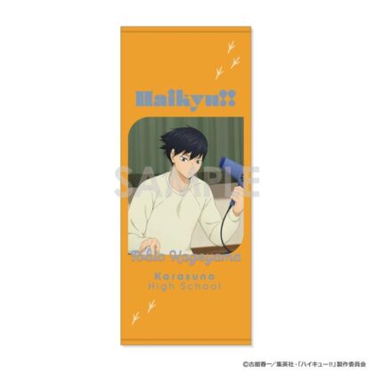 ハイキュー!! タオル ~決戦前夜!~ 2.影山飛雄