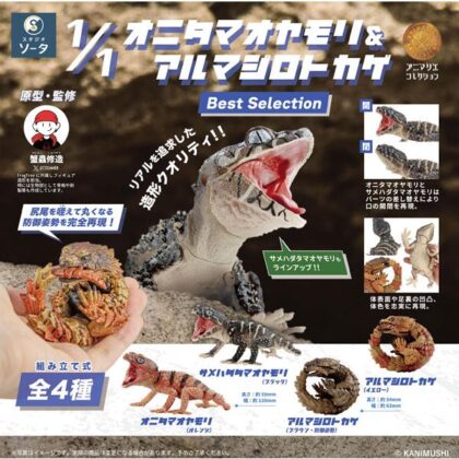 (s)1/1オニタマオヤモリ&アルマジロトカゲ Best Selection 送料別880円
