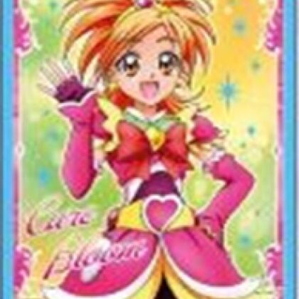 キャラクタースリーブ プリキュアクロニクル ふたりはプリキュア Splash☆Star キュアブルーム (EN-1680)