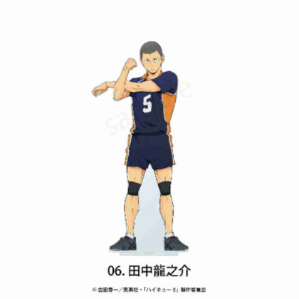 (s)ハイキュー!! フチなしアクリルスタンド 06 田中龍之介