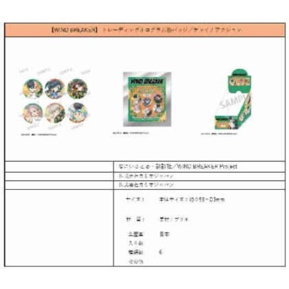 (s)WIND BREAKER トレーディングホログラム缶バッジ チャイナアクション 送料別880円