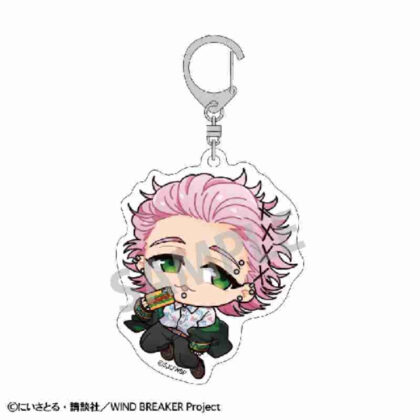 (s)WIND BREAKER アクリルキーホルダー 桐生三輝 おっこち 送料別880円