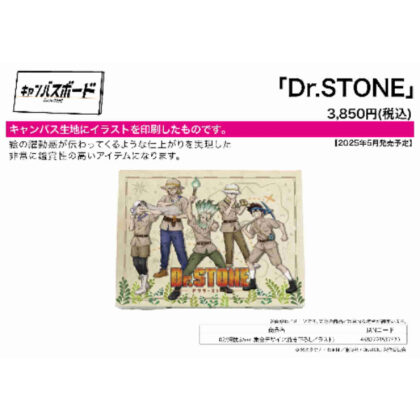 (s)キャンバスボード Dr.STONE 02 探検家Ver. 集合デザイン(描き下ろしイラスト) 送料別880円