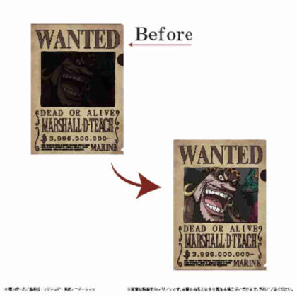 (s)ONE PIECE 手配書トリックファイル Vol.4 黒ひげ 送料別880円