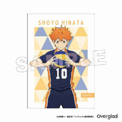 (s)ハイキュー!! 布ポスター パターンアート 日向翔陽 送料別880円