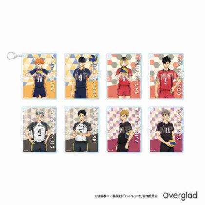 (s)ハイキュー!! トレーディングカードキーホルダー パターンアート 送料別880円