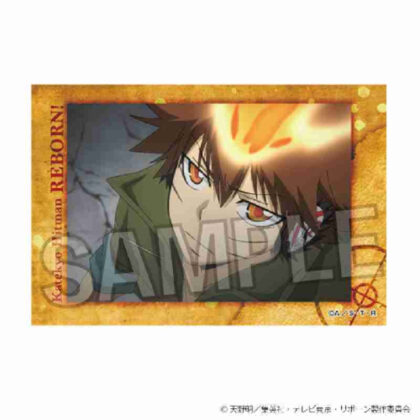 (s)家庭教師ヒットマンREBORN! スタパネ Vol.2 4 送料別880円