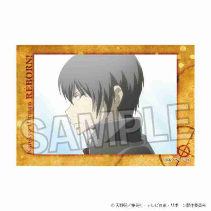 (s)家庭教師ヒットマンREBORN! スタパネ Vol.2 10 送料別880円