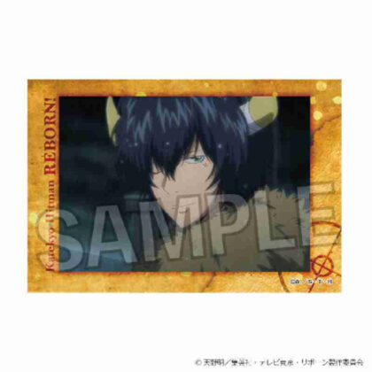 (s)家庭教師ヒットマンREBORN! スタパネ Vol.2 11 送料別880円