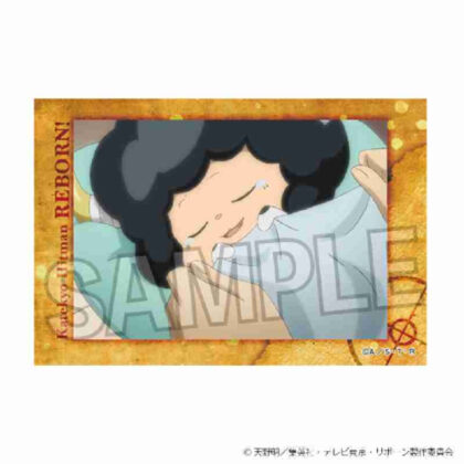 (s)家庭教師ヒットマンREBORN! スタパネ Vol.2 12 送料別880円