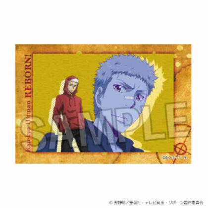 (s)家庭教師ヒットマンREBORN! スタパネ Vol.2 13 送料別880円