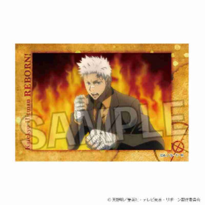 (s)家庭教師ヒットマンREBORN! スタパネ Vol.2 14 送料別880円