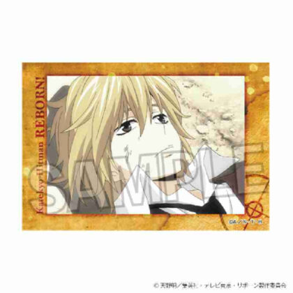 (s)家庭教師ヒットマンREBORN! スタパネ Vol.2 15 送料別880円