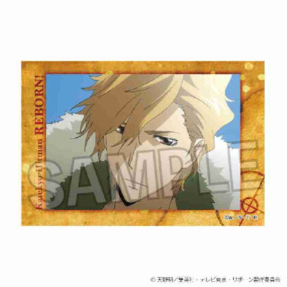 (s)家庭教師ヒットマンREBORN! スタパネ Vol.2 16 送料別880円